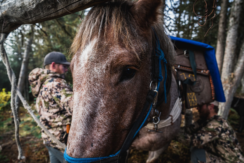 https://www.davidframephotography.com